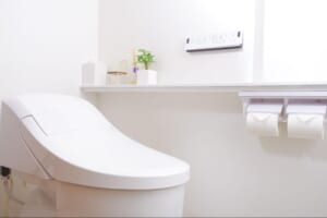 便の色（うんちの色）で体調をチェック|注意が必要な便の状態を解説