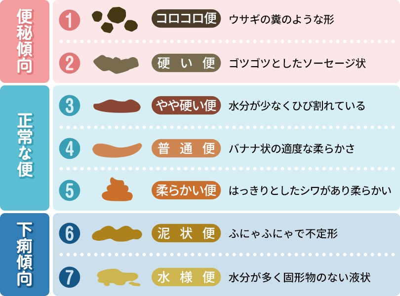 便の状態を表す指標「ブリストルスケール」