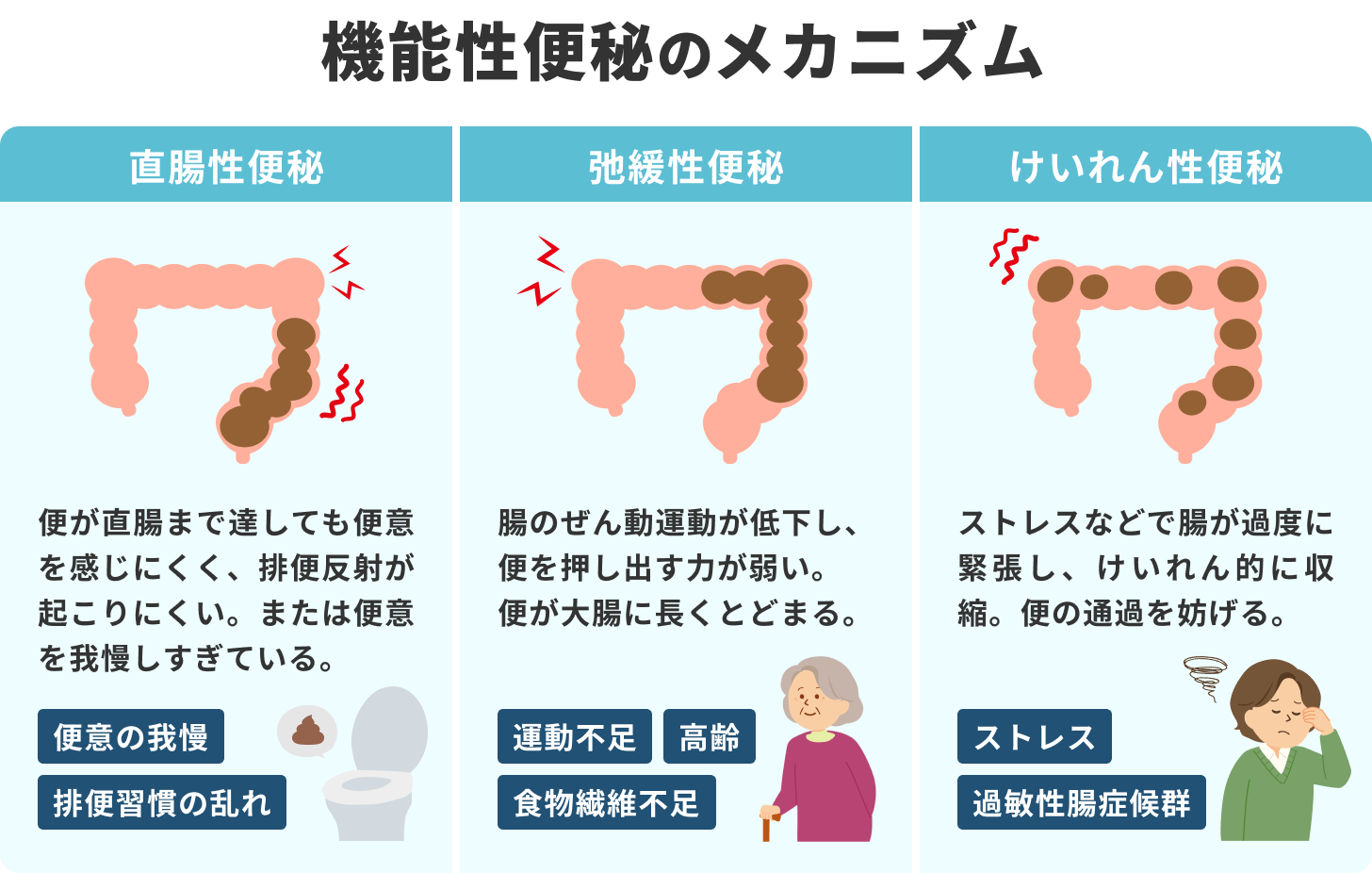 『直腸性便秘』『弛緩性便秘』『けいれん性便秘』のメカニズム